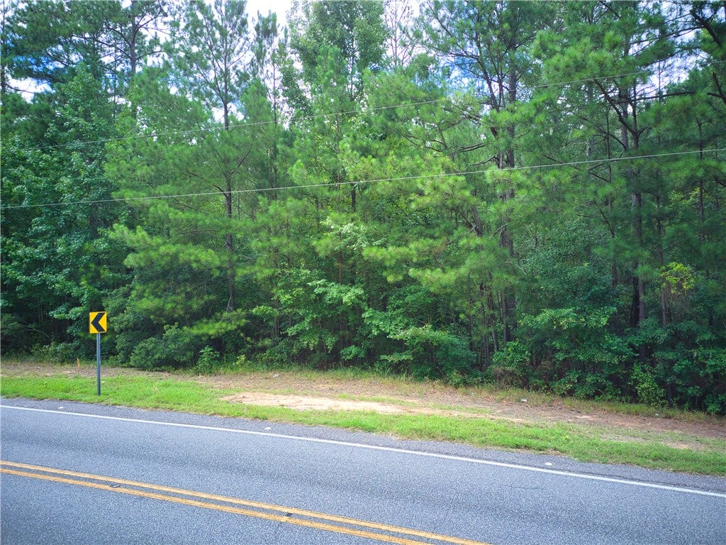 Photo of 0 - Parcel 200 JUDGE BROWN Street, Valley, AL 36854 (MLS # 181743)