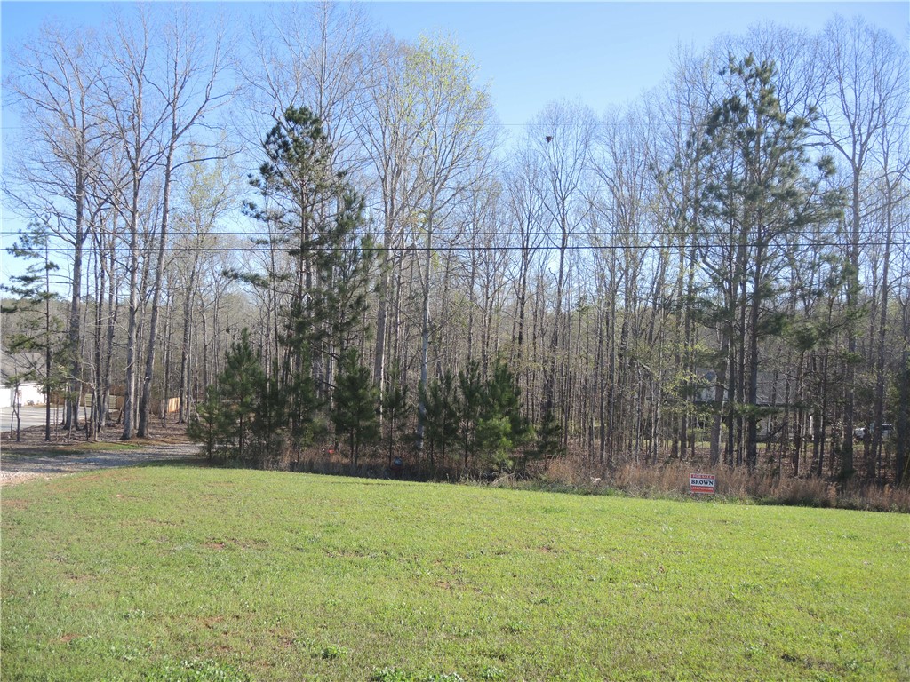 Photo 1 of 1 — 4120 ANDREWS Road, Opelika, AL 36801