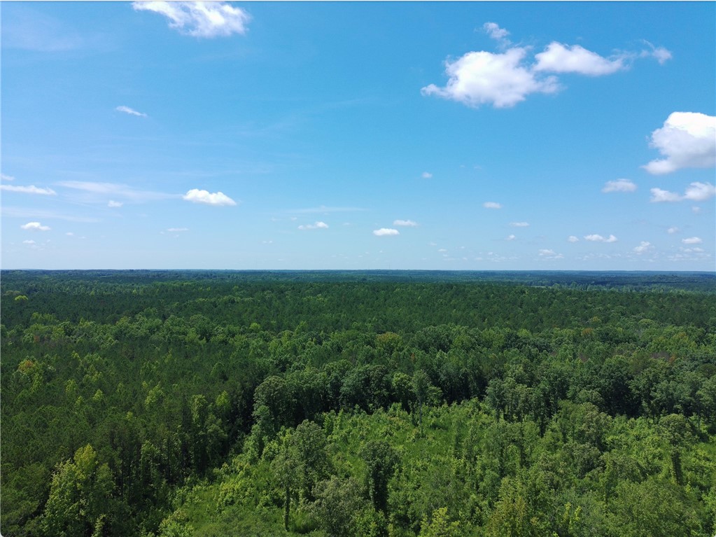 12 ACRES COUNTY ROAD 241