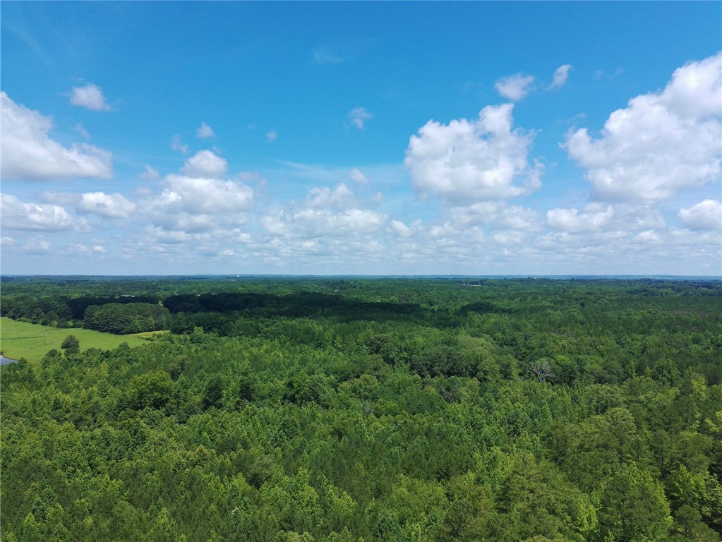12 ACRES COUNTY ROAD 241