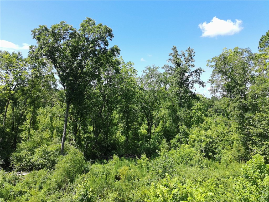 12 ACRES COUNTY ROAD 241