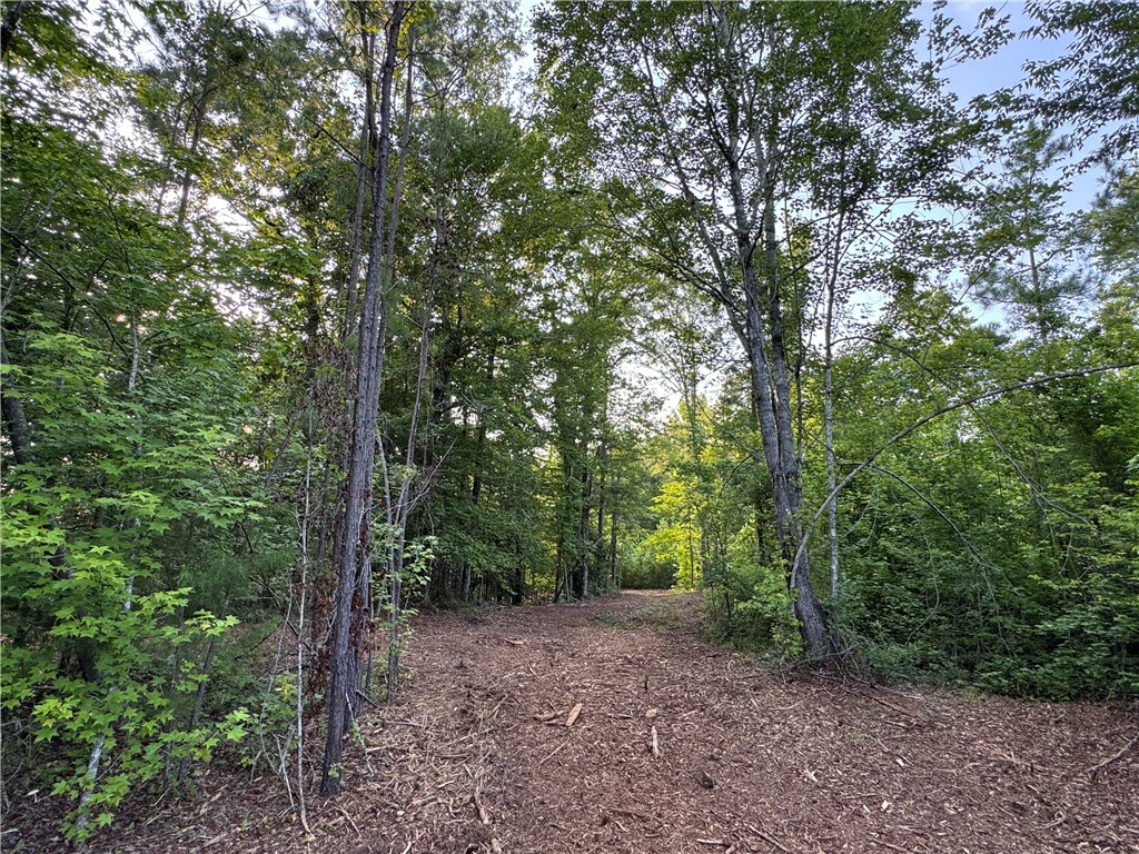 0 TALLAPOOSA Road