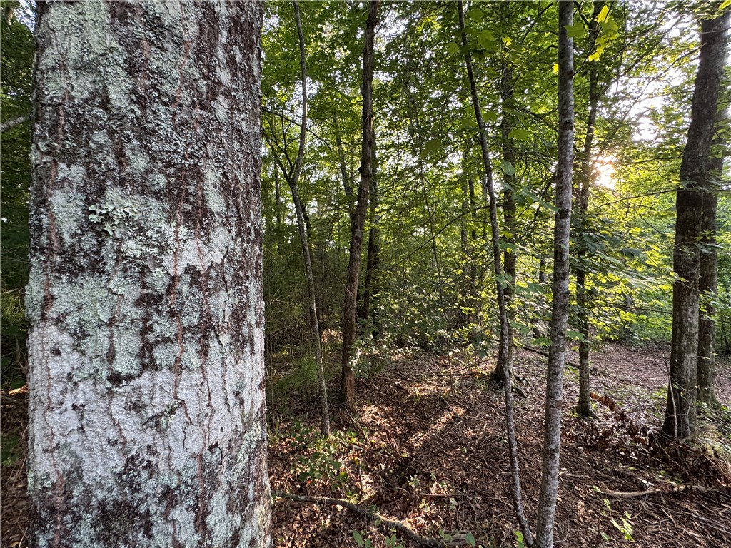 0 TALLAPOOSA Road