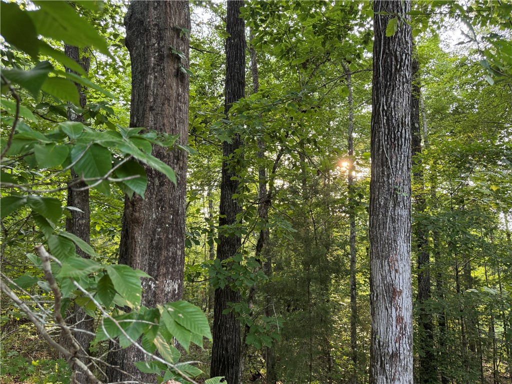 0 TALLAPOOSA Road