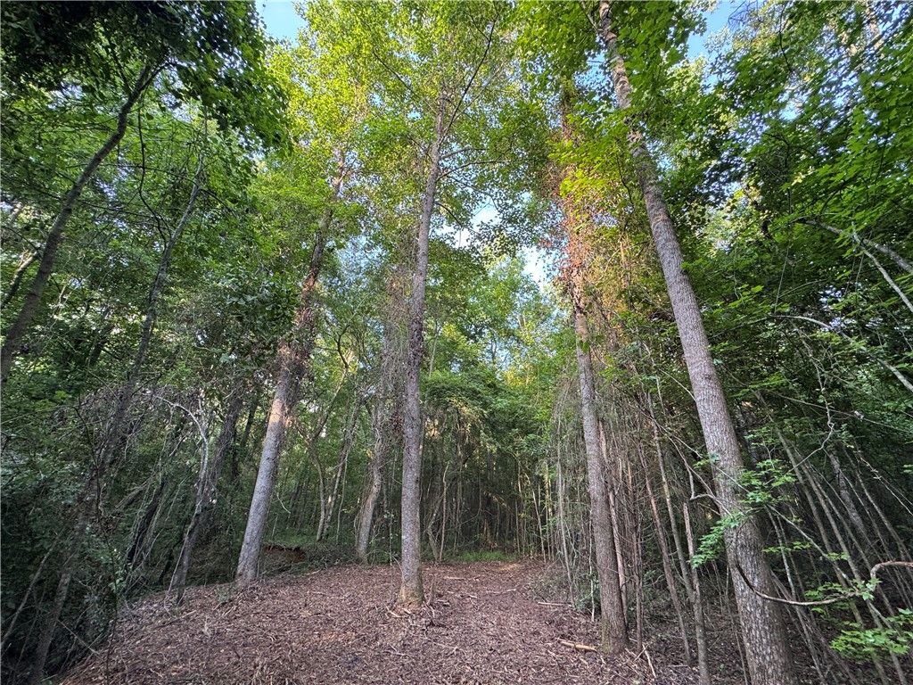 Photo of 0 TALLAPOOSA Road, Camp Hill, AL 36850 (MLS # 175493)