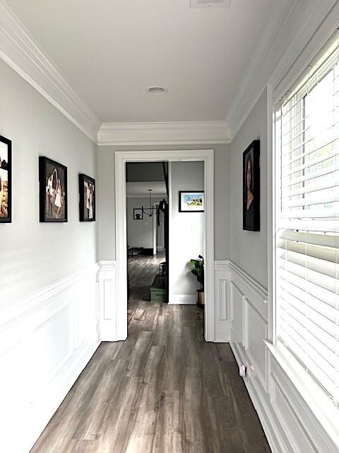62 IVY Loop