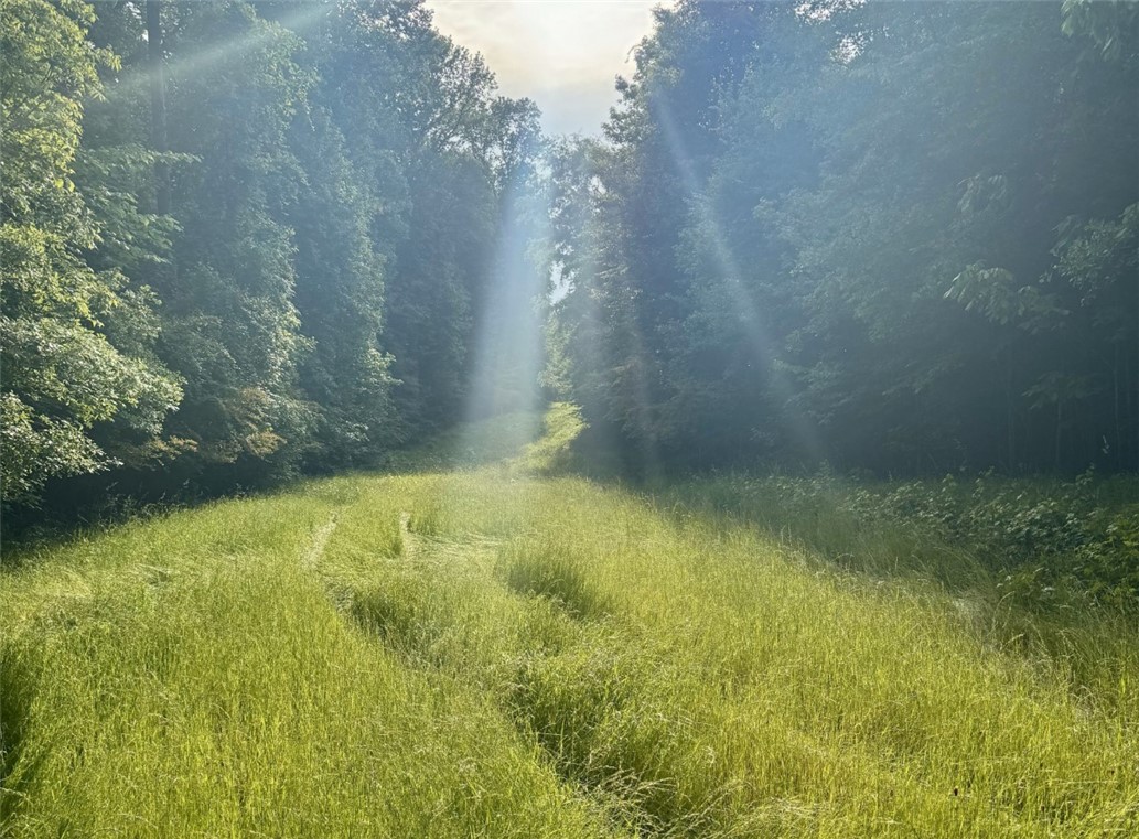 4505 OLD VILLAGE Way