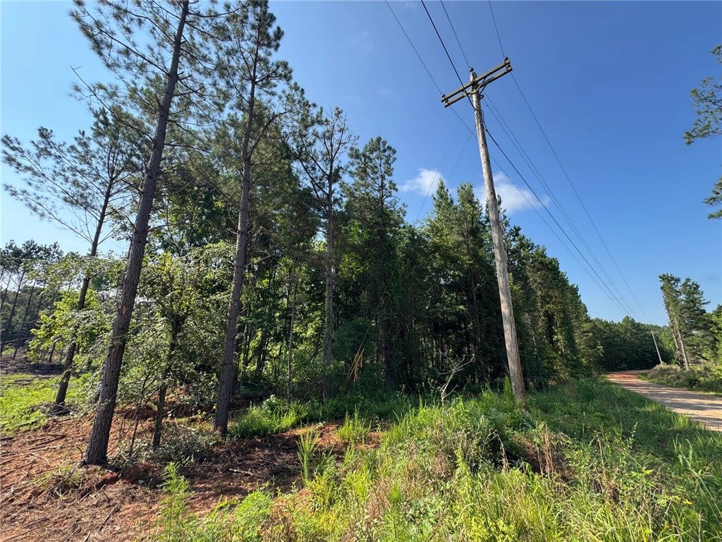 Photo of 0 PARKER ISLAND Road, Equality, AL 36026 (MLS # 181492)