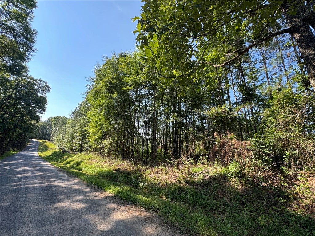 Photo of 0 PARKER ISLAND Road, Equality, AL 36026 (MLS # 181492)