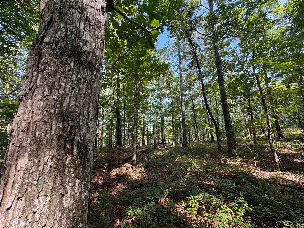 Photo of 0 PARKER ISLAND Road, Equality, AL 36026 (MLS # 181492)