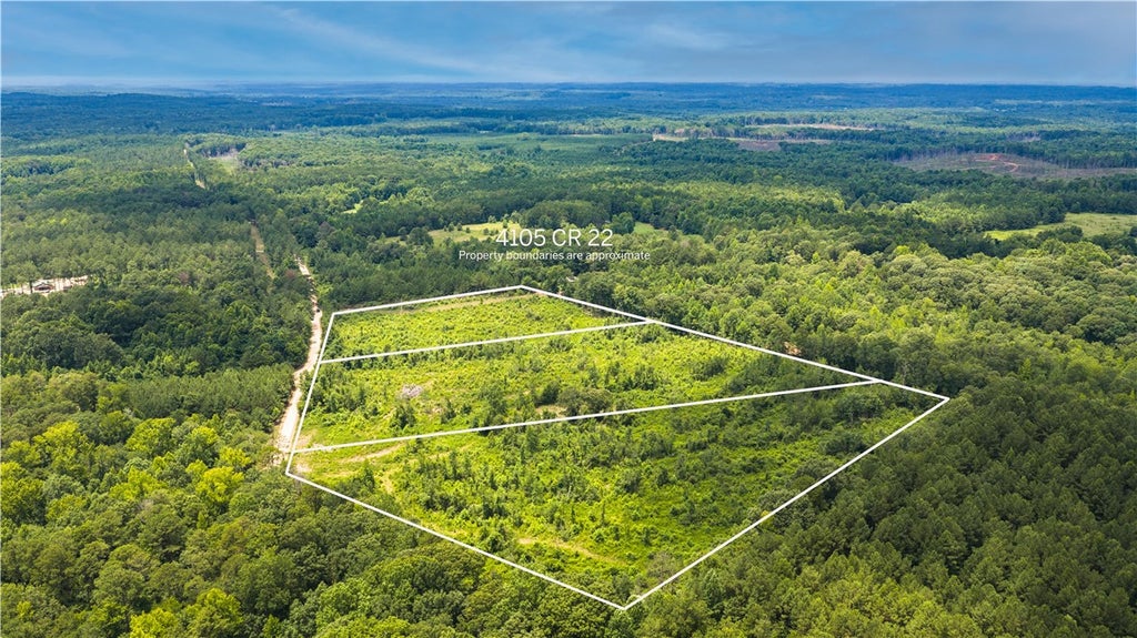 Photo of 4105 COUNTY ROAD 22, Waverly, AL 36879 (MLS # 181096)