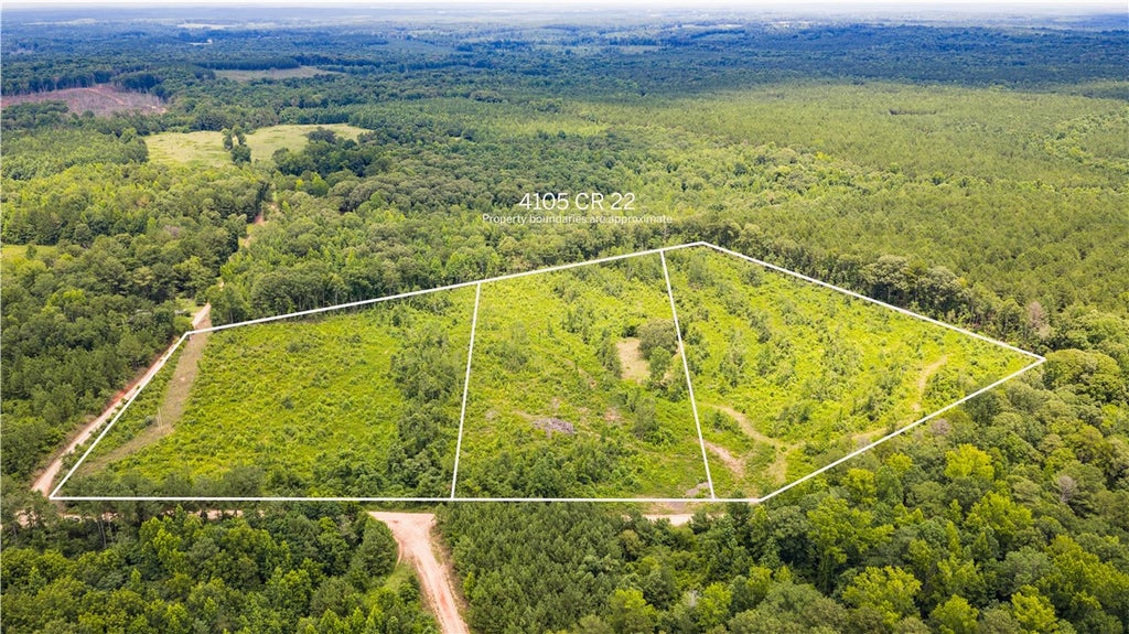 Photo of 4105 COUNTY ROAD 22, Waverly, AL 36879 (MLS # 181096)