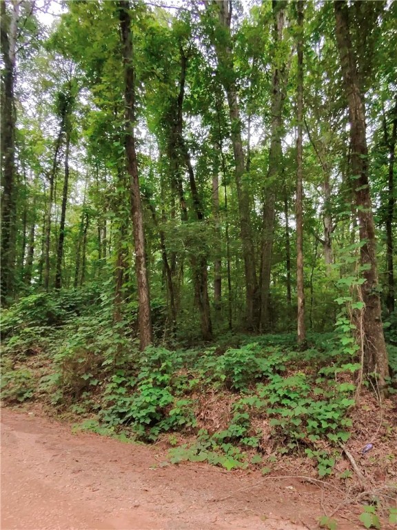 0 COUNTY ROAD 174