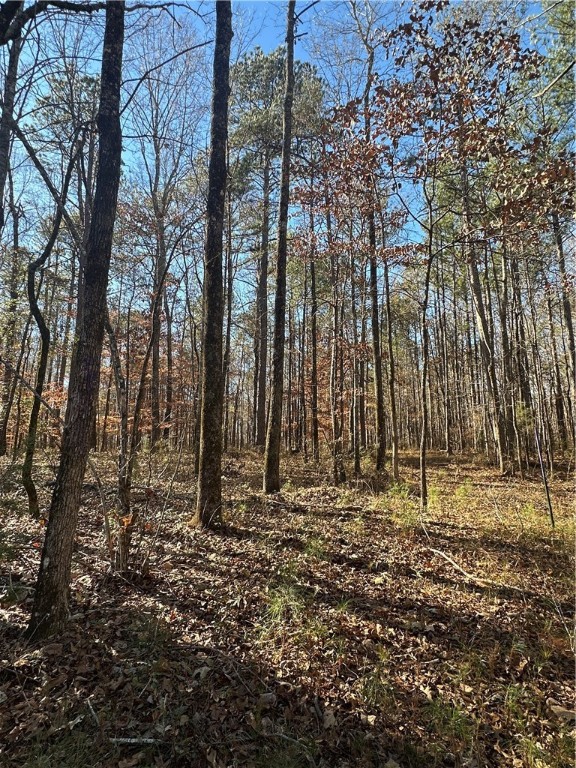 12568 LEE ROAD 72
