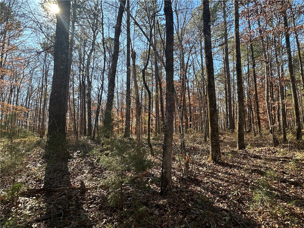 12568 LEE ROAD 72