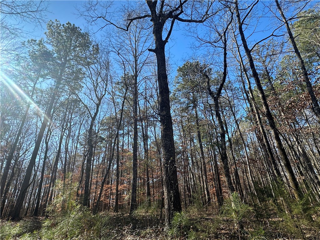 12568 LEE ROAD 72
