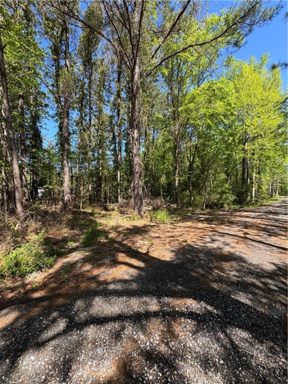 1715 LEE ROAD 112