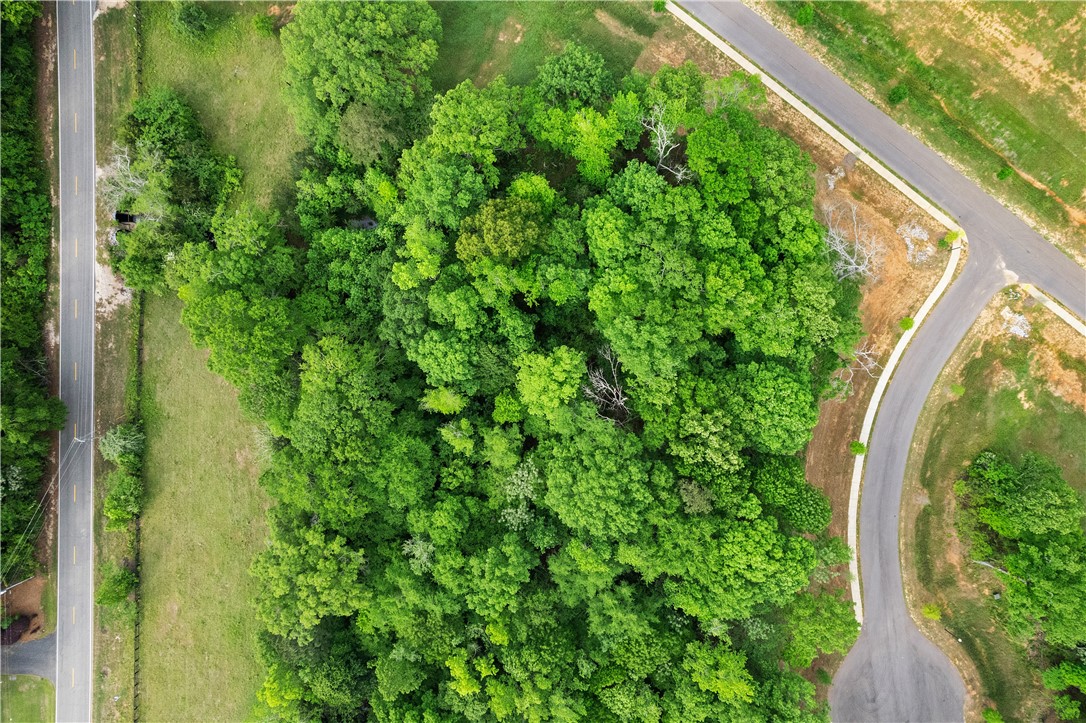 Auburn, Alabama 36830, United States, ,Land,Active,2778