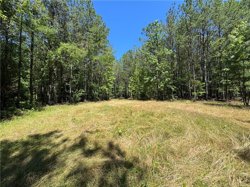 Photo of 24301 VETERANS MEMORIAL, Camp Hill, AL 36850 (MLS # 181109)
