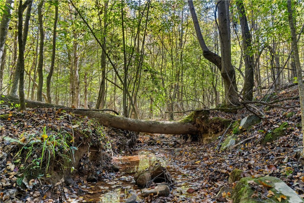 Photo of 4240 Highway 49, Dadeville, AL 36853 (MLS # 177478)