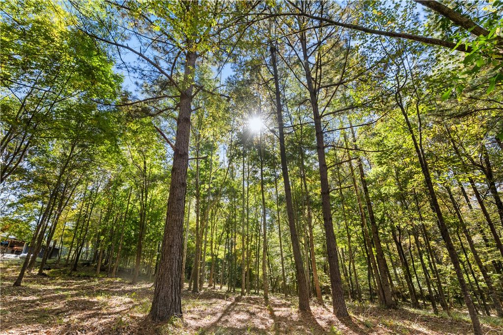 Photo of 4240 Highway 49, Dadeville, AL 36853 (MLS # 177478)