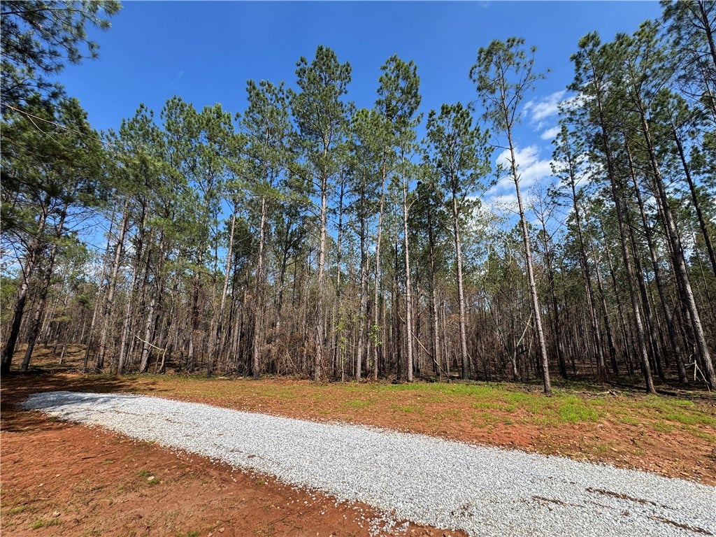 Photo of 0 BARRON'S BRIDGE, Dadeville, AL 36853 (MLS # 181111)