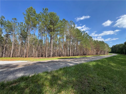 Photo of 0 BARRON'S BRIDGE, Dadeville, AL 36853 (MLS # 181111)