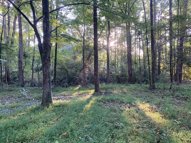 Photo of 1310 HICKORY Lane, Auburn, AL 36830 (MLS # 182301)