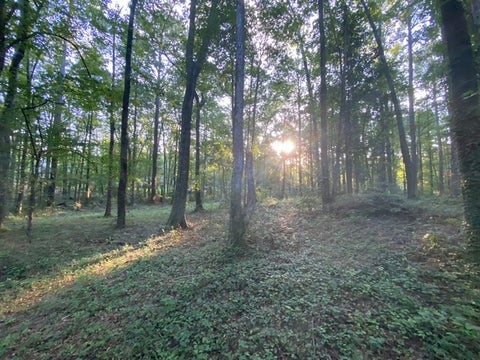 Photo of 1310 HICKORY Lane, Auburn, AL 36830 (MLS # 182301)
