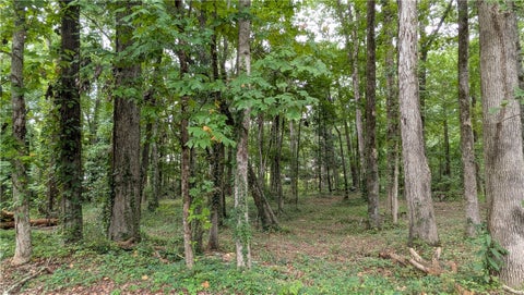 Photo of 1310 HICKORY Lane, Auburn, AL 36830 (MLS # 182301)