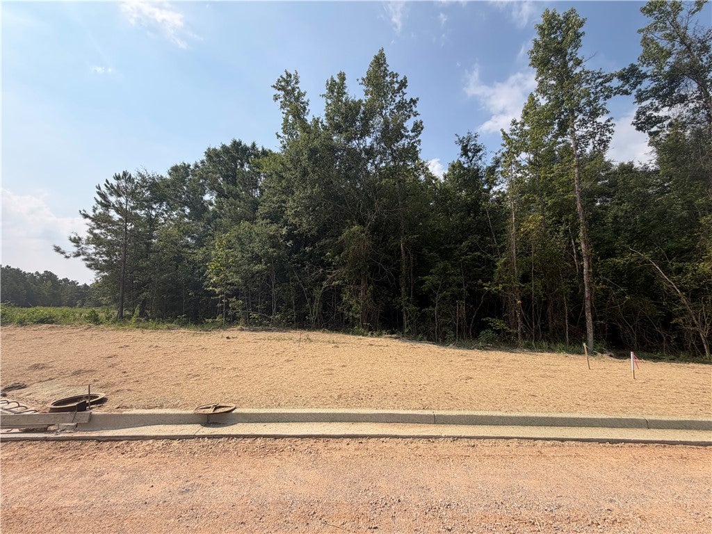 Photo of 11 HOMESTEAD Lane, Smiths Station, AL 36877 (MLS # 182227)