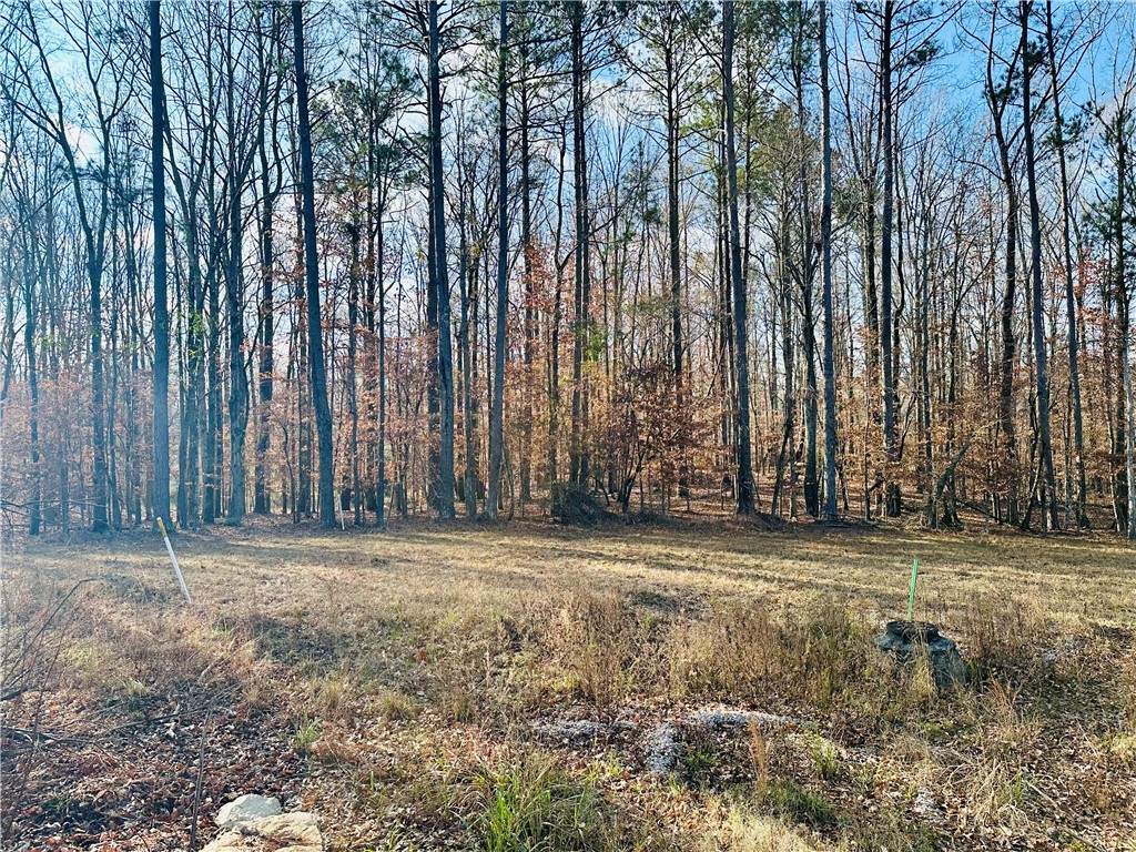 TBD GROVE HILL Road
