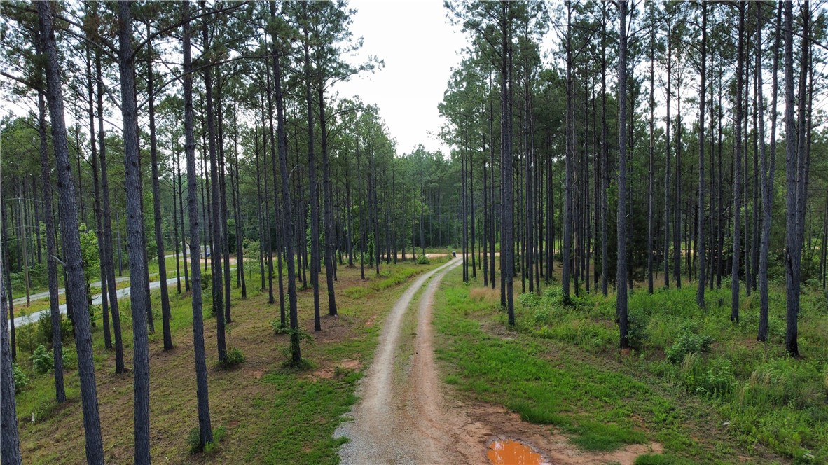 3828 LEE ROAD 254