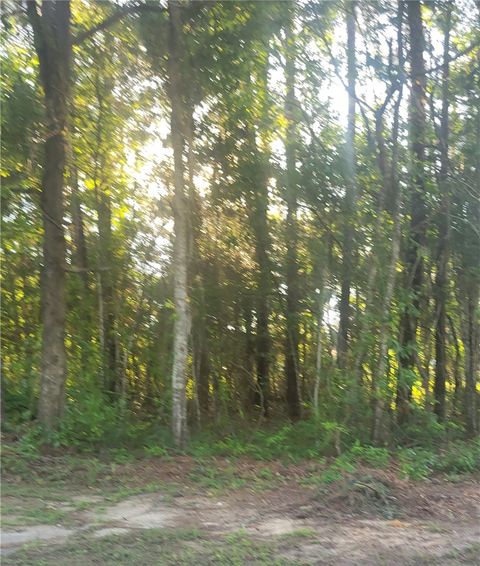 Photo of 00 WEBB Avenue, Tuskegee, AL 36083 (MLS # 180451)