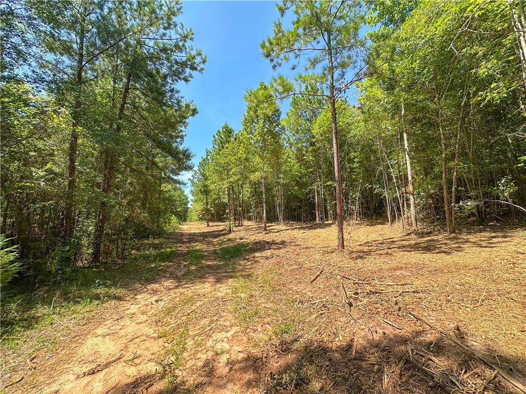 0 COUNTY ROAD 66