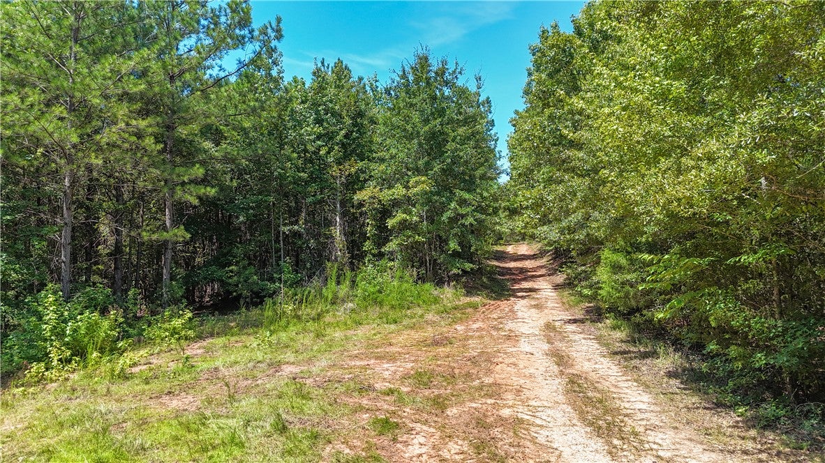 0 COUNTY ROAD 66