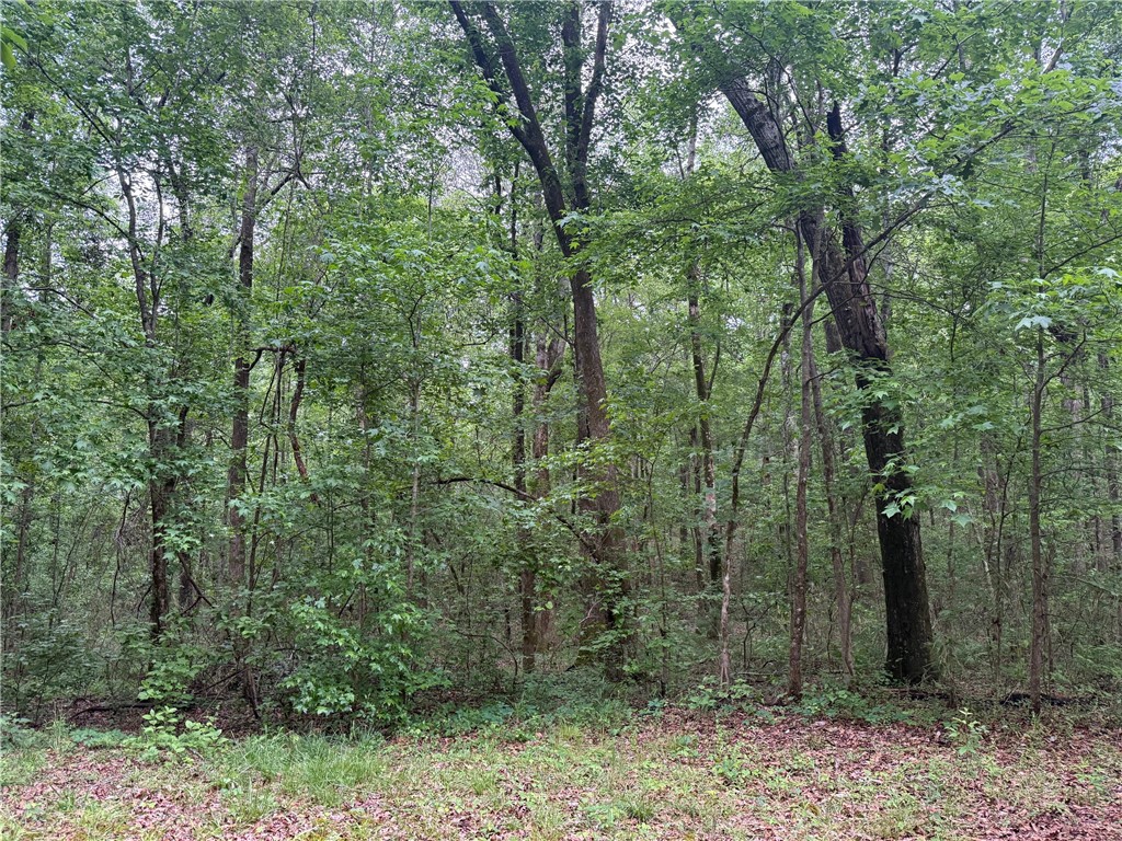 2087 LEE ROAD 45