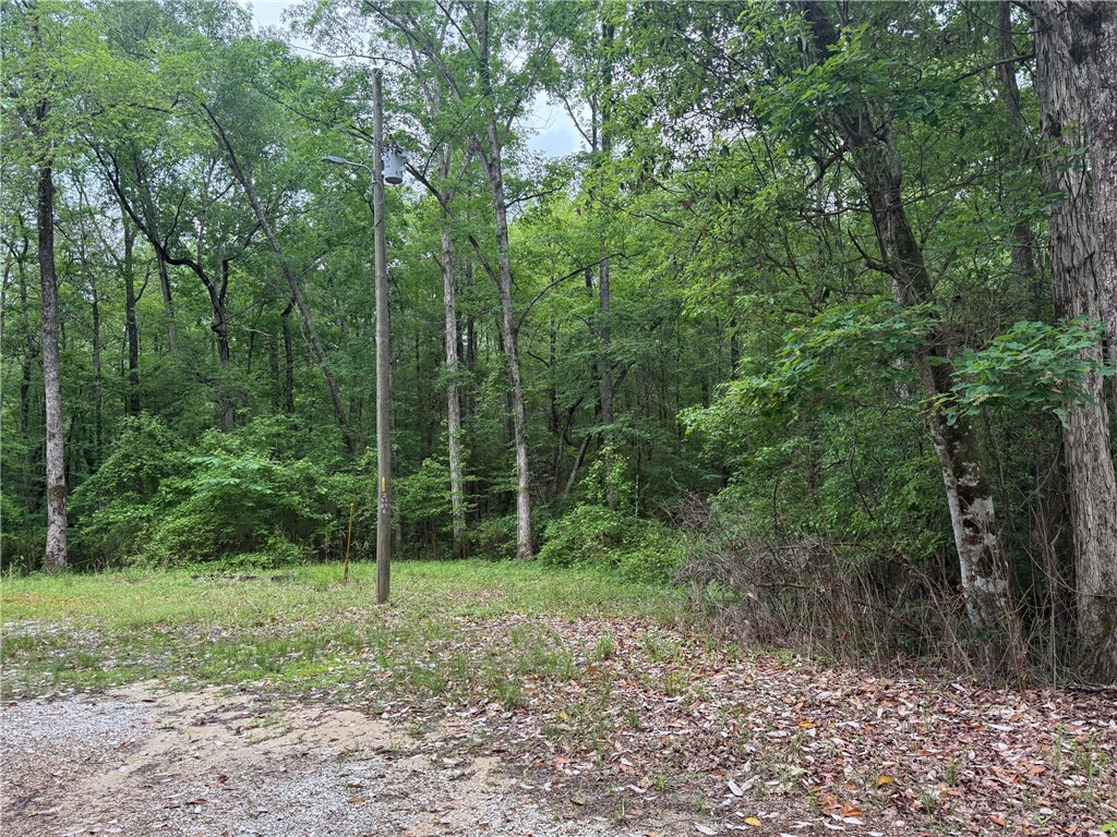 2087 LEE ROAD 45