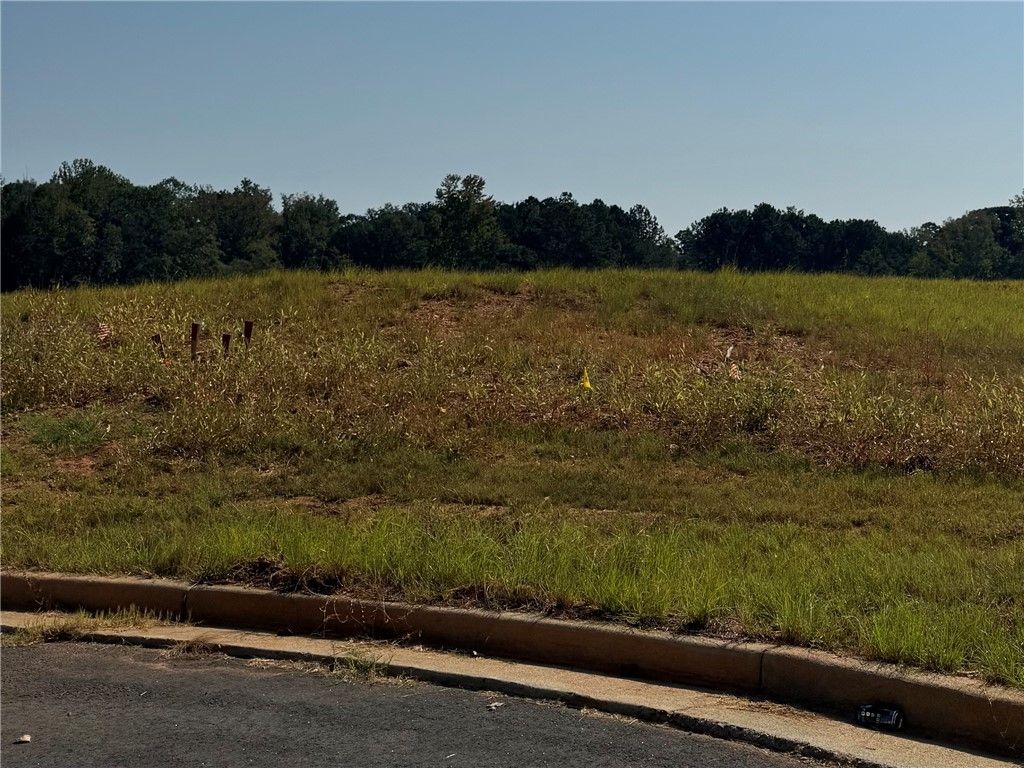 Photo of 14 LONG LEAF Lane, Opelika, AL 36804 (MLS # 176690)