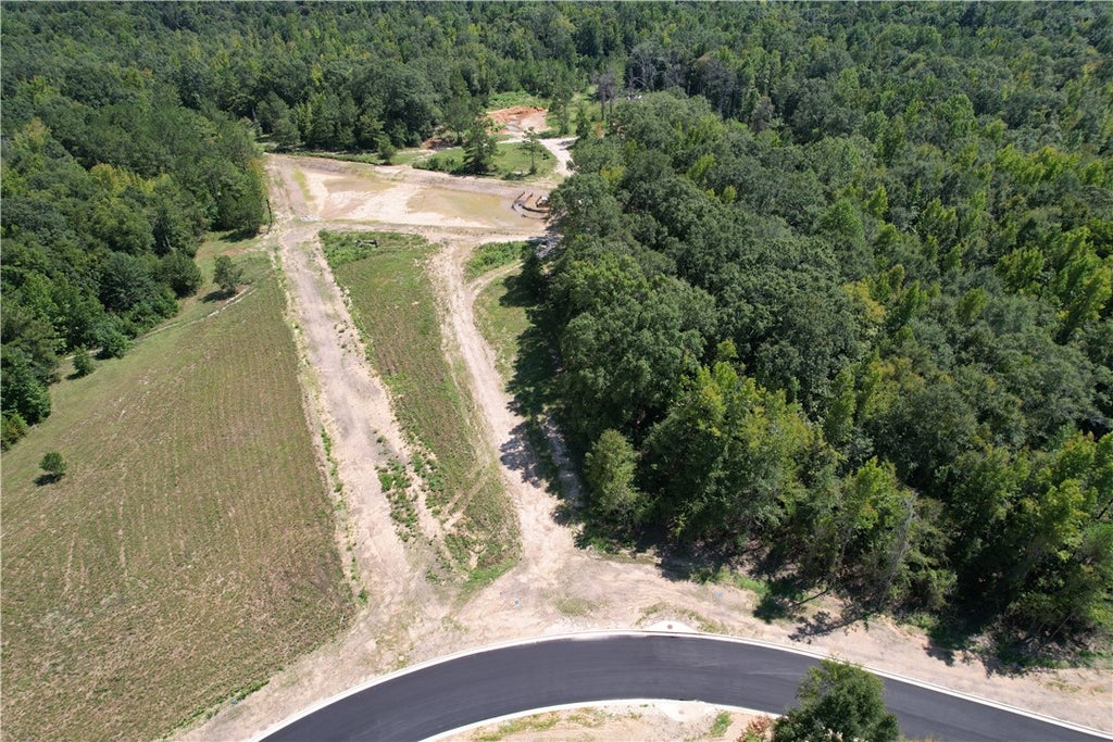 Photo of 10 HOMESTEAD Lane, Smiths Station, AL 36877 (MLS # 182226)