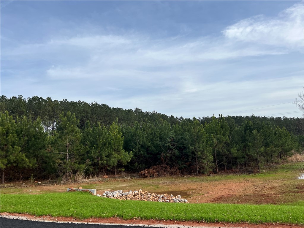 2005 MOURNING DOVE Lane