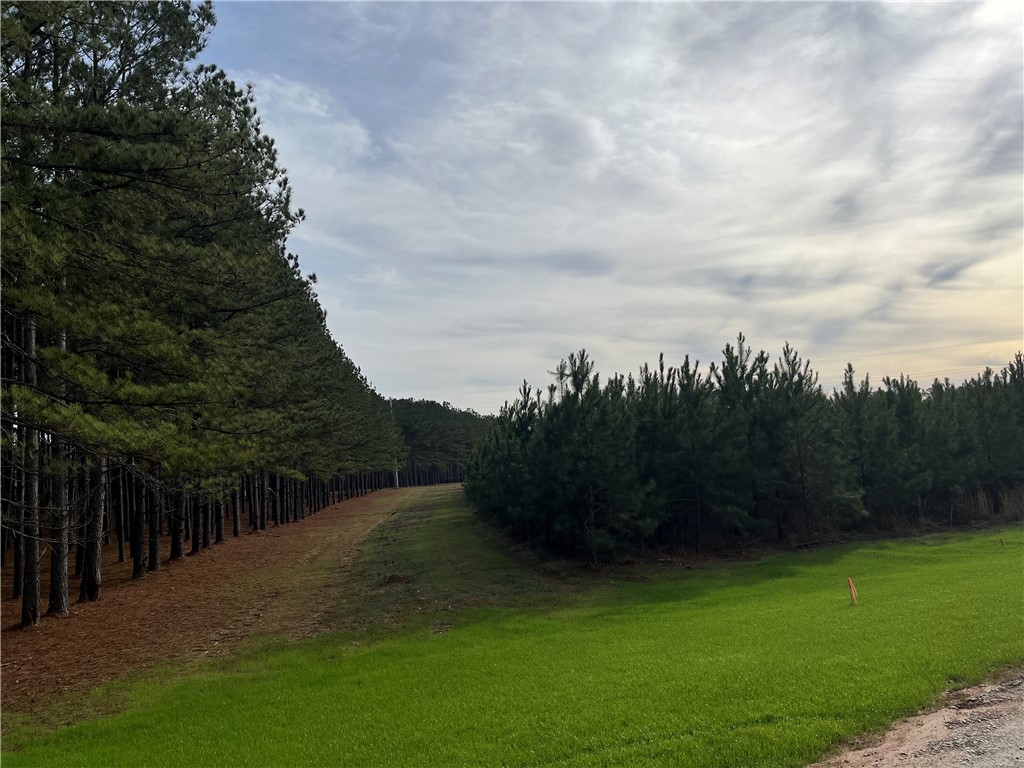 2005 MOURNING DOVE Lane