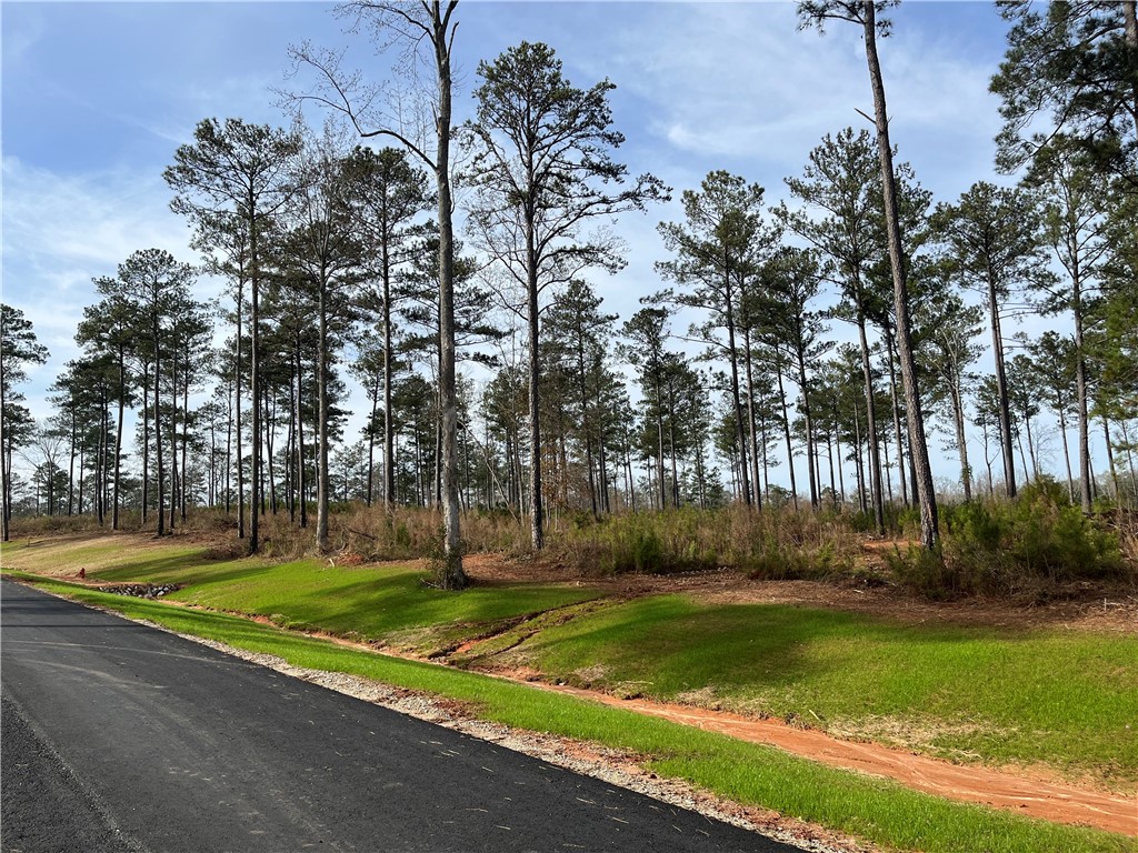 2050 MOURNING DOVE Lane