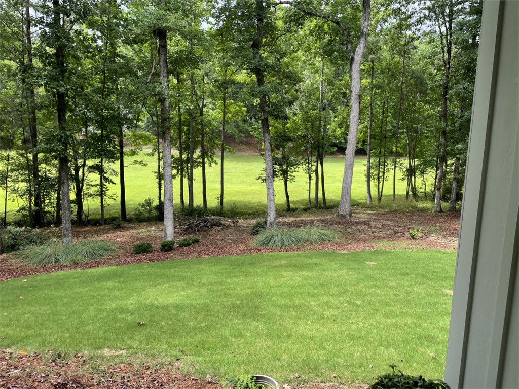 138 GREENVIEW Lane