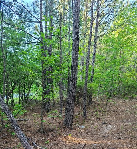 Photo of 000 O. B. BROWN Road, Auburn, AL 36830 (MLS # 180424)