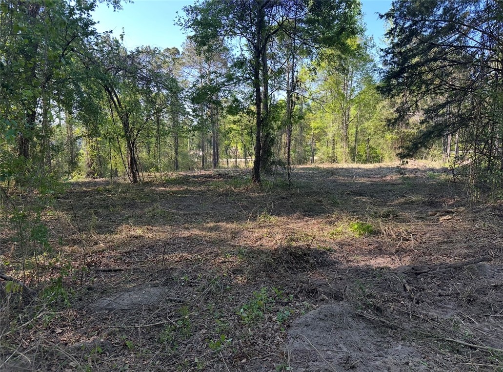 A tranquil wooded lot offers a peaceful retreat fo