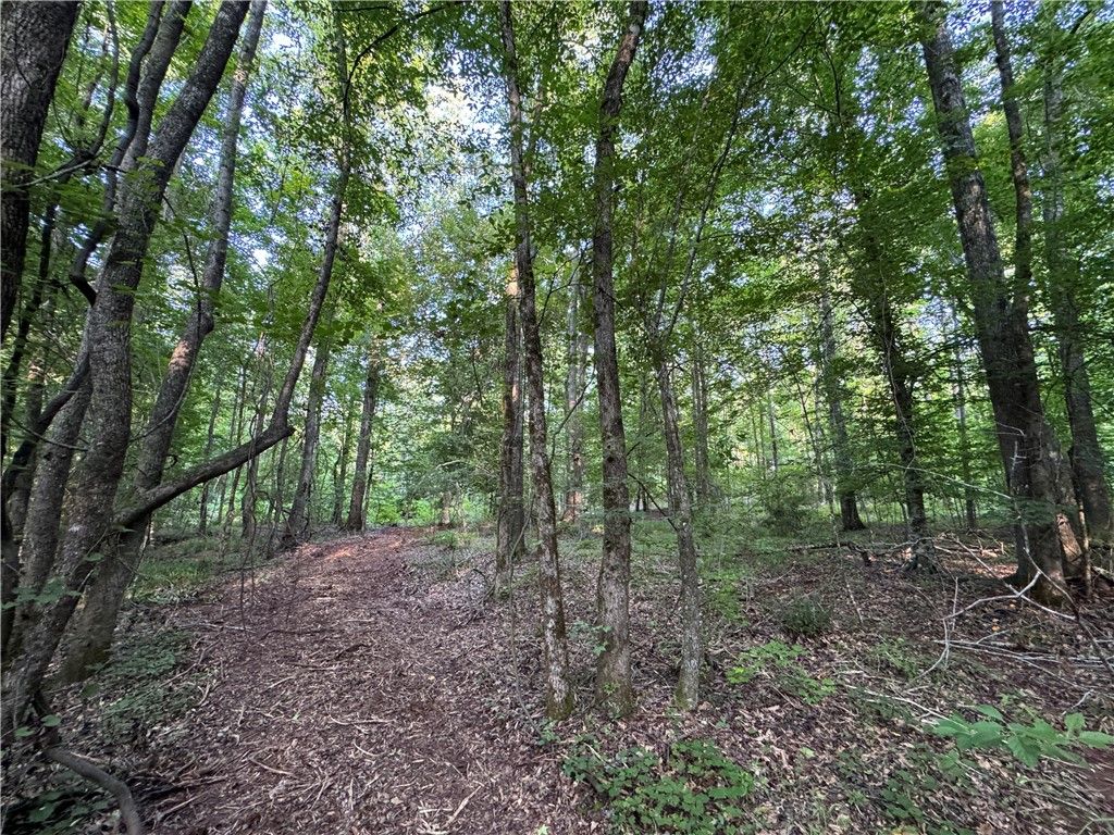 Photo of 0 TALLAPOOSA Road, Camp Hill, AL 36850 (MLS # 175489)