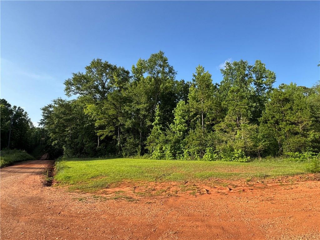 Photo of 0 TALLAPOOSA Road, Camp Hill, AL 36850 (MLS # 175489)