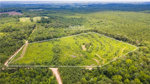 Photo of 4105 COUNTY ROAD 22, Waverly, AL 36879 (MLS # 181094)