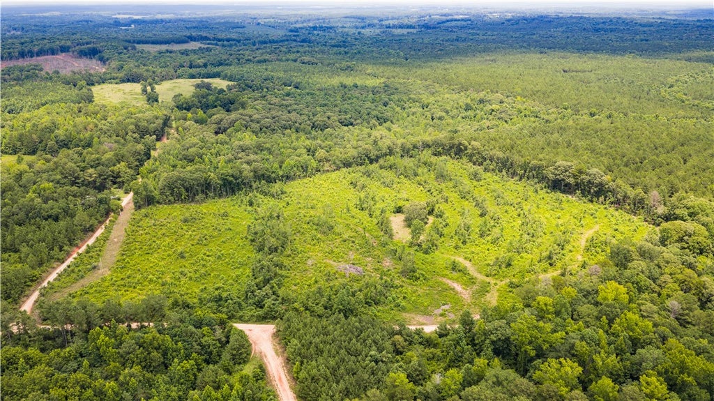 Photo of 4105 COUNTY ROAD 22, Waverly, AL 36879 (MLS # 181094)